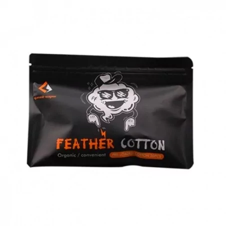 Mèches de cotton (20pcs)