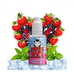 Concentré Berry Menthol 30ml
